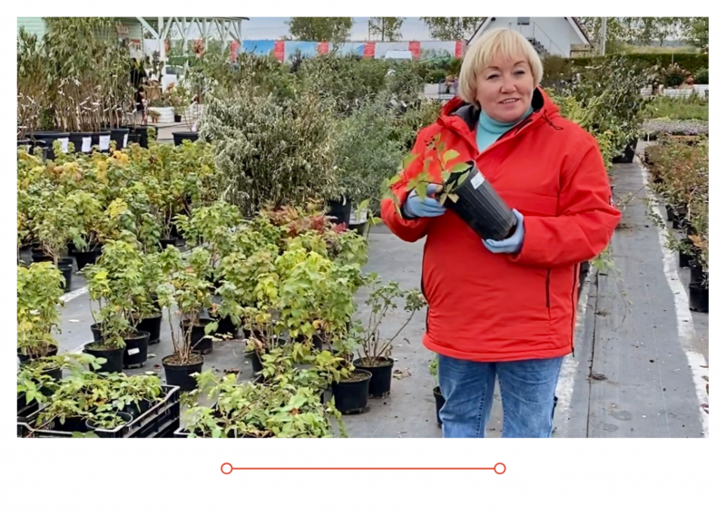 «Дачные Советы» новый выпуск от 23.09.21