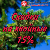 Скидки на хвойные растения