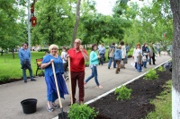 В рамках Фестиваля цветов в парке дружба были высажены 150 гортензий