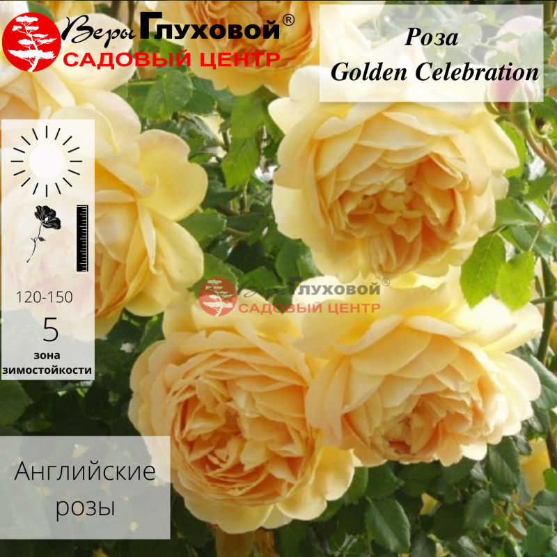 Основное изображение товара