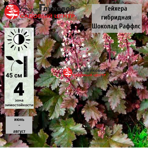 Основное изображение товара