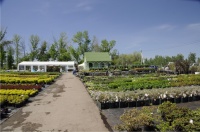 Садовый центр в Курумоче встречает весну