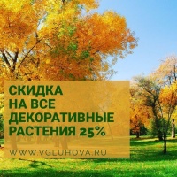 Скидка на декоративные растения