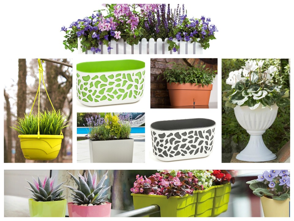 Большое разнообразие пластиковых кашпо Большое разнообразие пластиковых кашпо