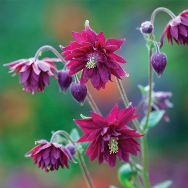 Основное изображение товара