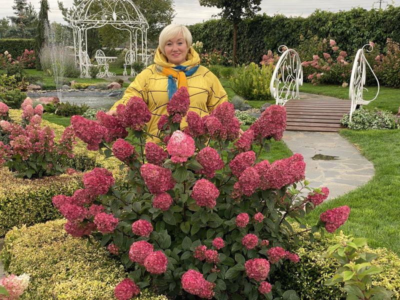 Рекомендовано к просмотру