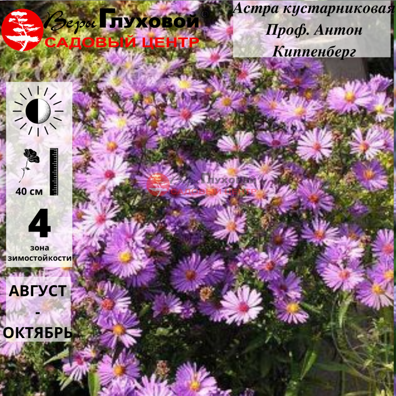 Основное изображение товара