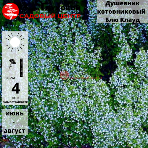 Основное изображение товара