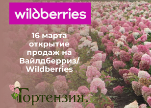 Открытие продаж на Вайлдберриз Открытие продаж на Вайлдберриз