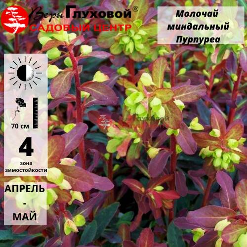 Основное изображение товара