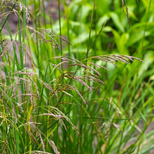 Основное изображение товара