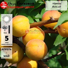 Рисунок 2.jpg