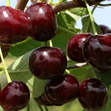 Рисунок 34.jpg