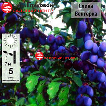 Основное изображение товара