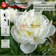 Основное изображение товара