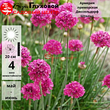 Основное изображение товара