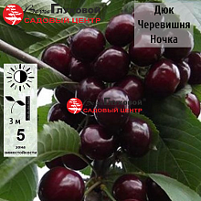 Основное изображение товара