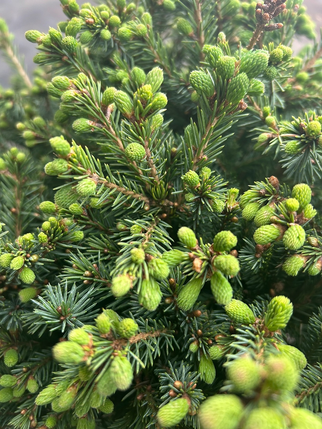 Ваш личный эксклюзив