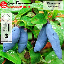 Рисунок 61.jpg