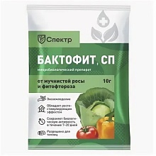 Основное изображение товара