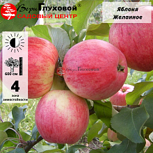 Яблоня Желанное (летний сорт)