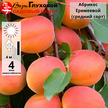 Основное изображение товара