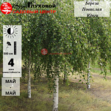 Основное изображение товара