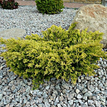 Основное изображение товара